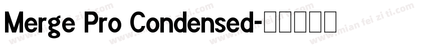 Merge Pro Condensed字体转换